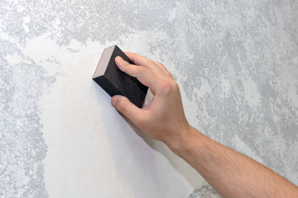 Biohazard Mold Removal in St Louis, MI