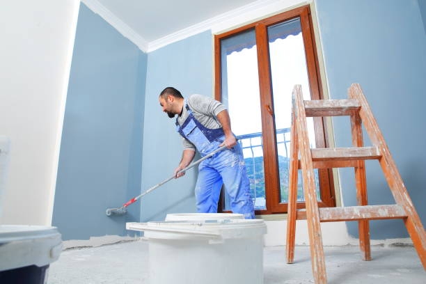 Best Attic Mold Removal  in St Louis, MI