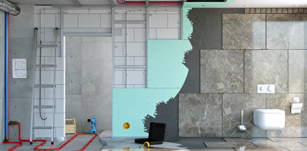 Best Basement Mold Removal  in St Louis, MI