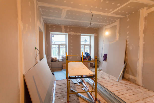 Best Biohazard Mold Removal  in St Louis, MI