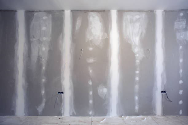 Best Asbestos and Lead Testing During Mold Inspection  in St Louis, MI